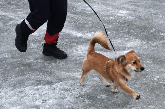 Russia Ice Run Half- Marathon