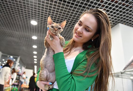 Russia Cat Show