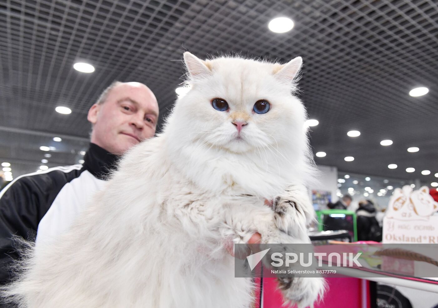 Russia Cat Show