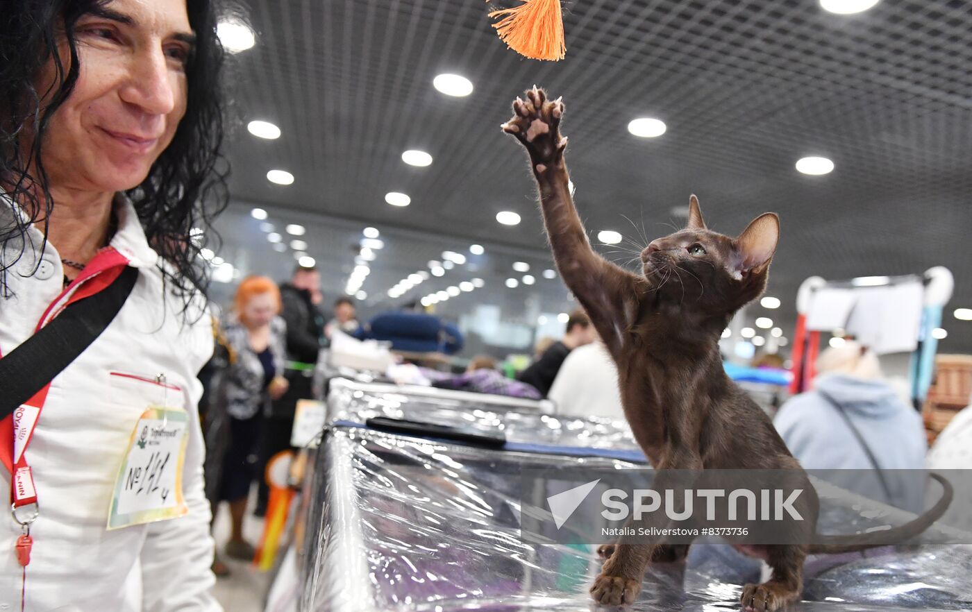 Russia Cat Show