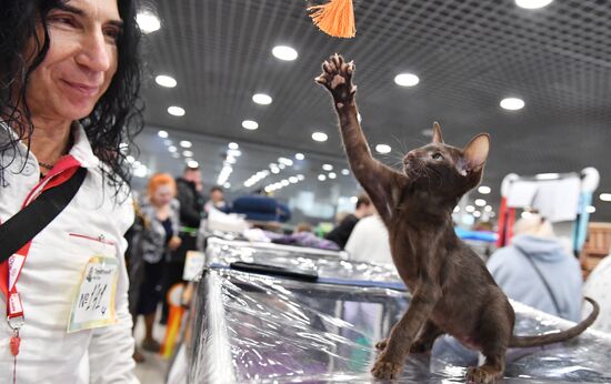 Russia Cat Show