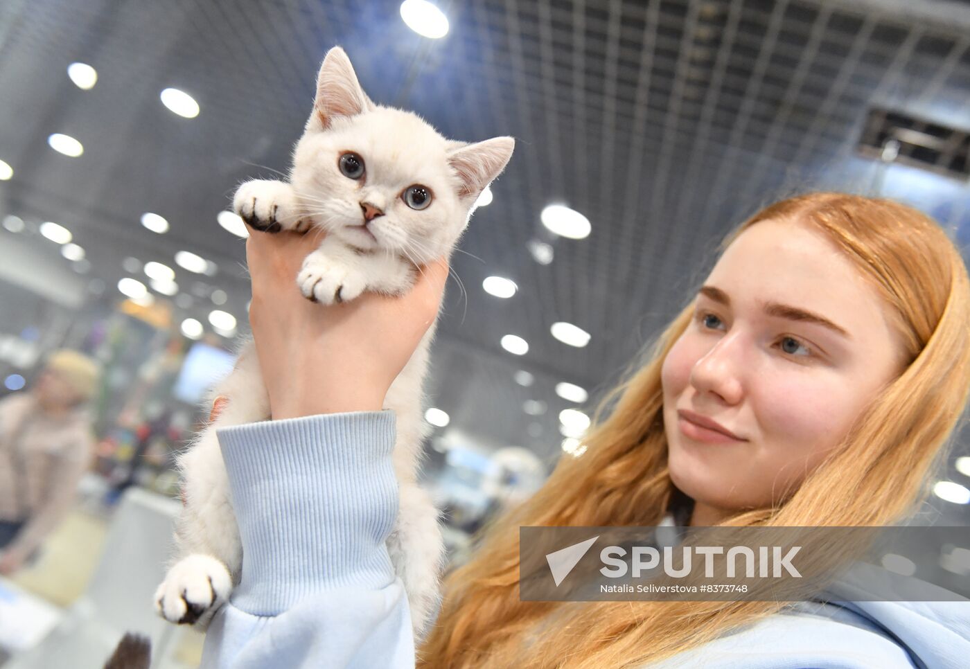 Russia Cat Show