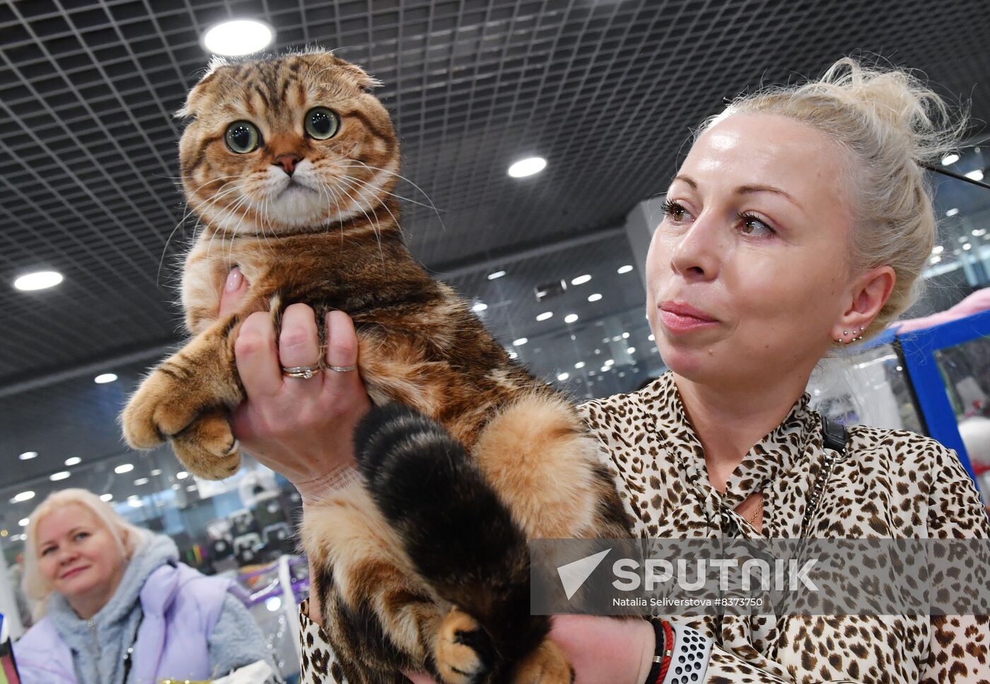 Russia Cat Show