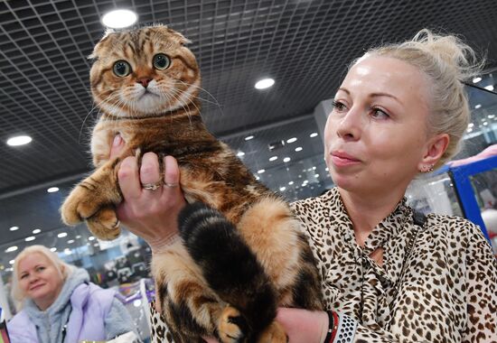 Russia Cat Show