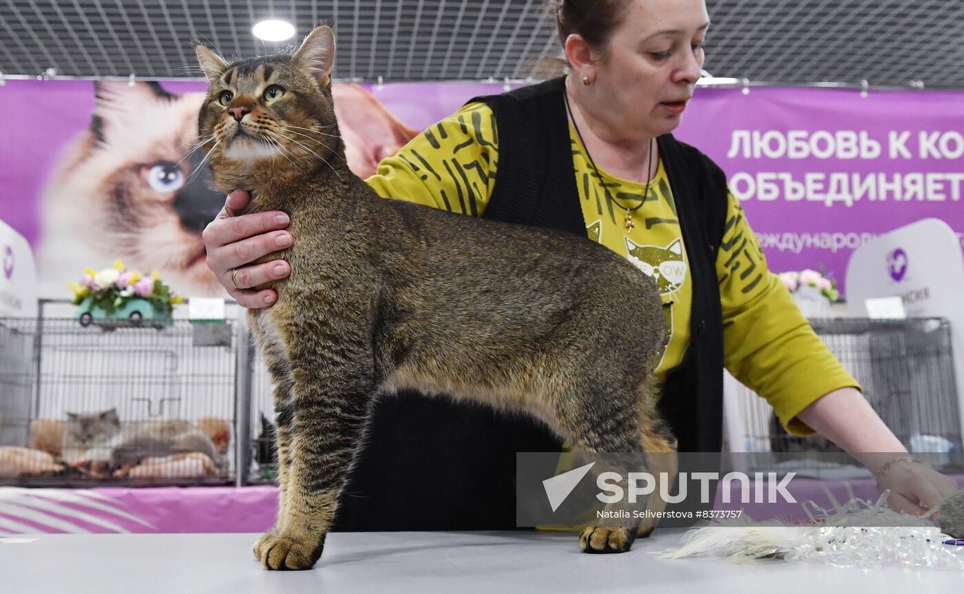 Russia Cat Show