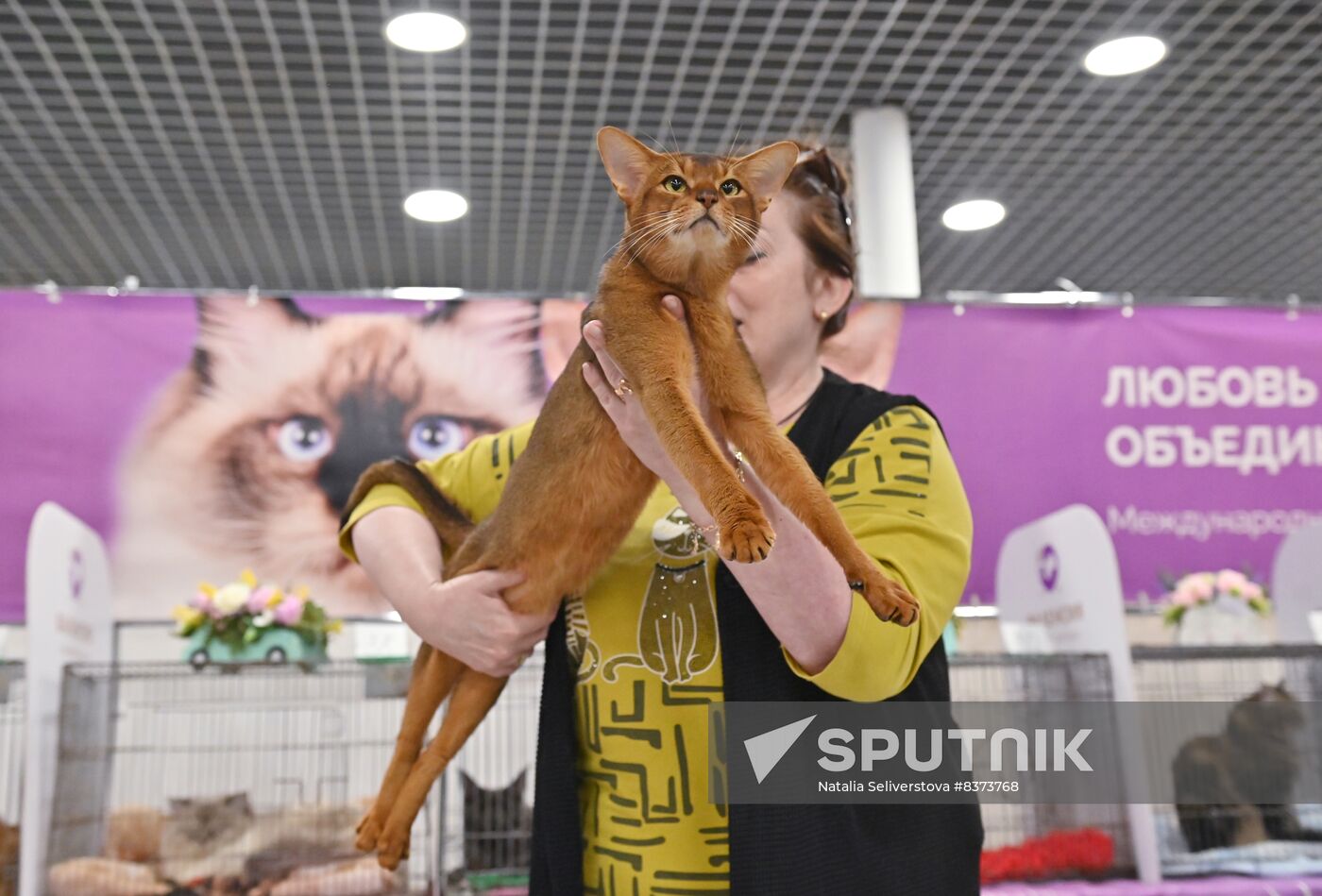 Russia Cat Show