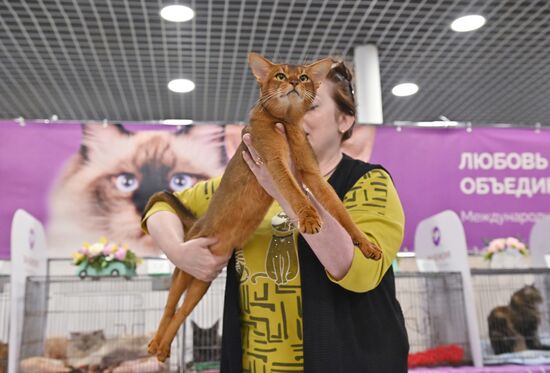 Russia Cat Show