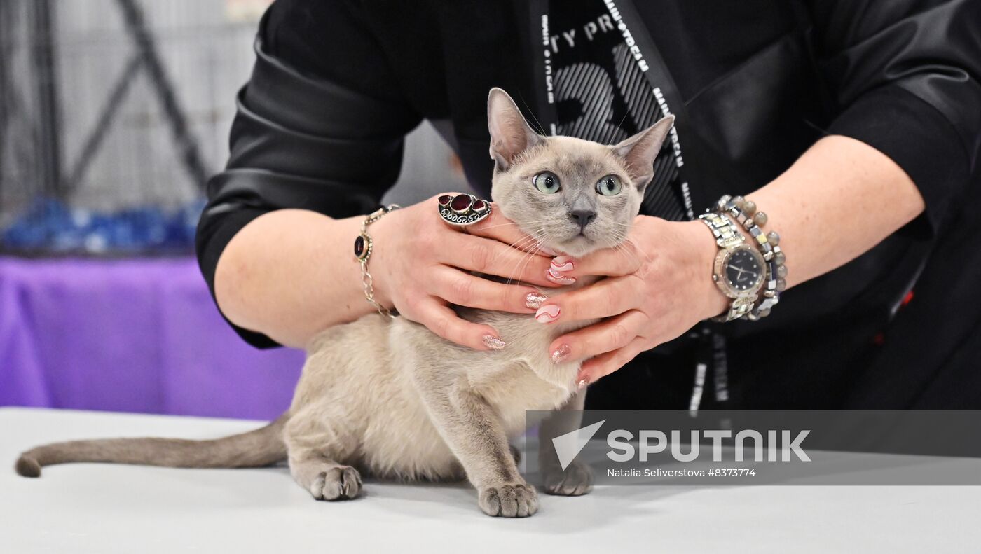 Russia Cat Show