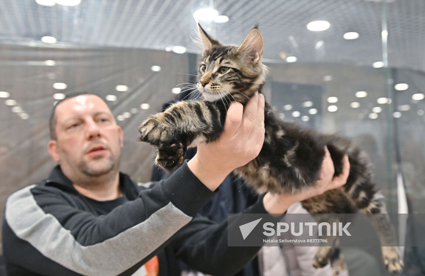 Russia Cat Show