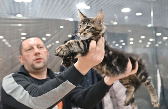 Russia Cat Show