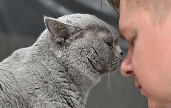 Russia Cat Show