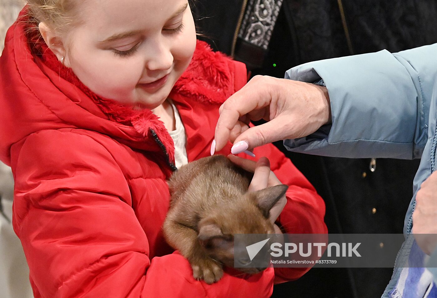 Russia Cat Show