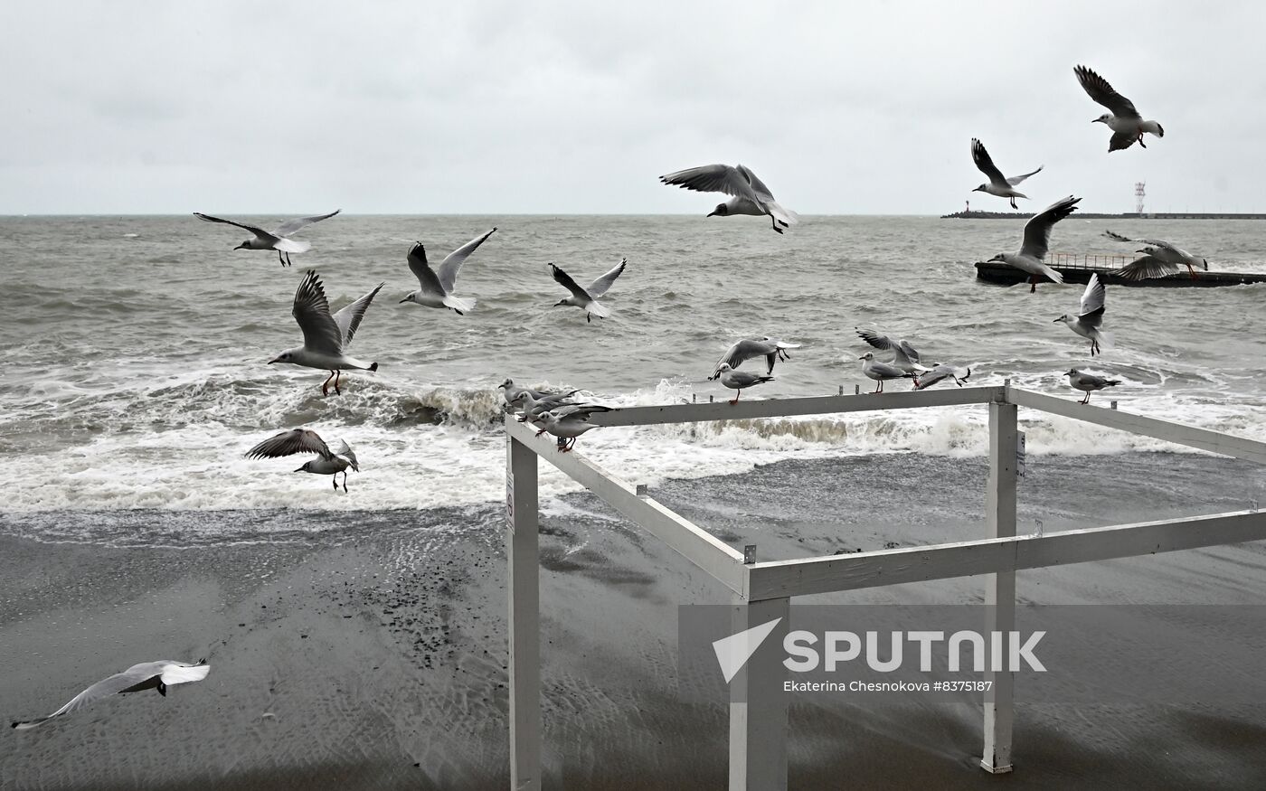 Russia Daily Life