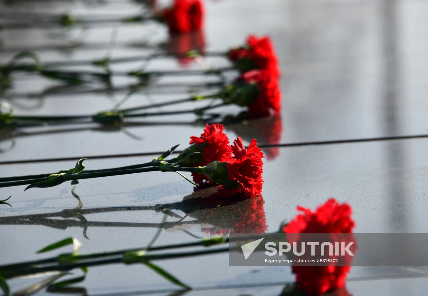 Russia Regions Fatherland Defender Day