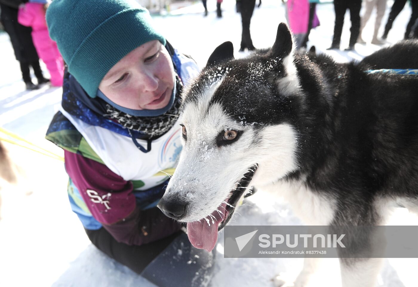 Russia Sled Dog Racing Cup