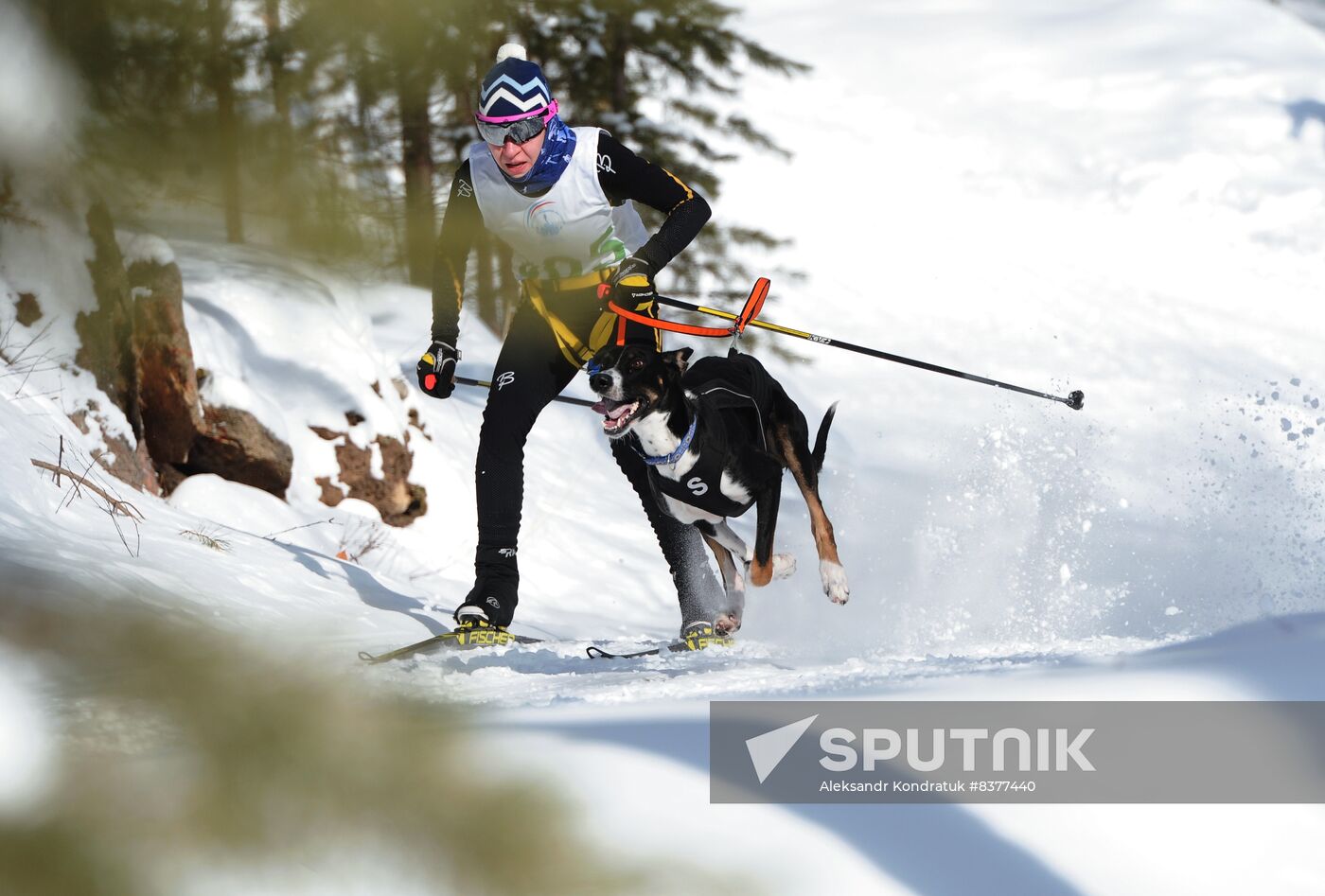 Russia Sled Dog Racing Cup