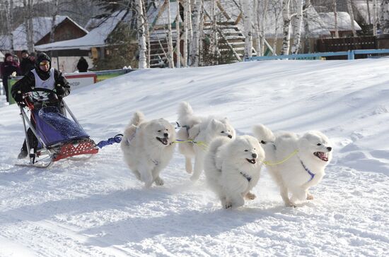 Russia Sled Dog Racing Cup
