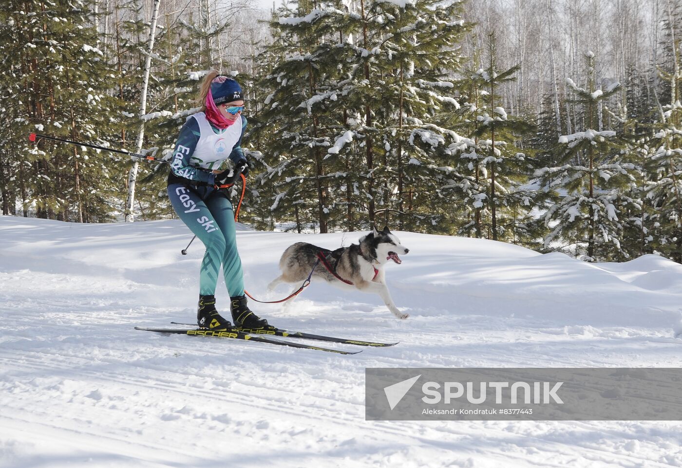 Russia Sled Dog Racing Cup