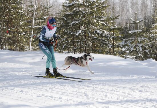 Russia Sled Dog Racing Cup