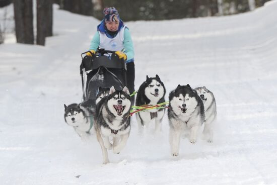 Russia Sled Dog Racing Cup