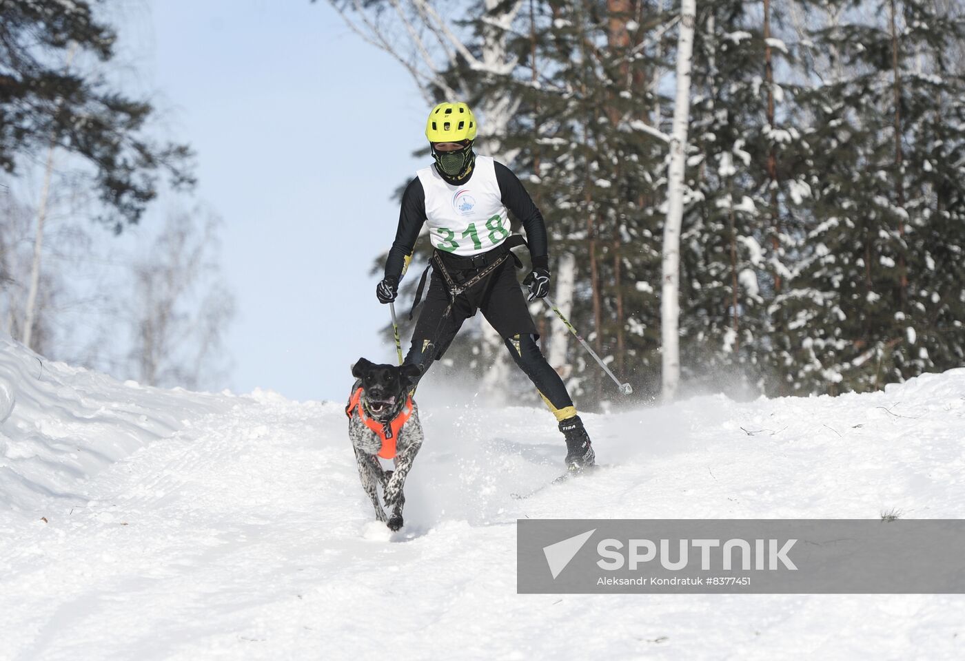 Russia Sled Dog Racing Cup