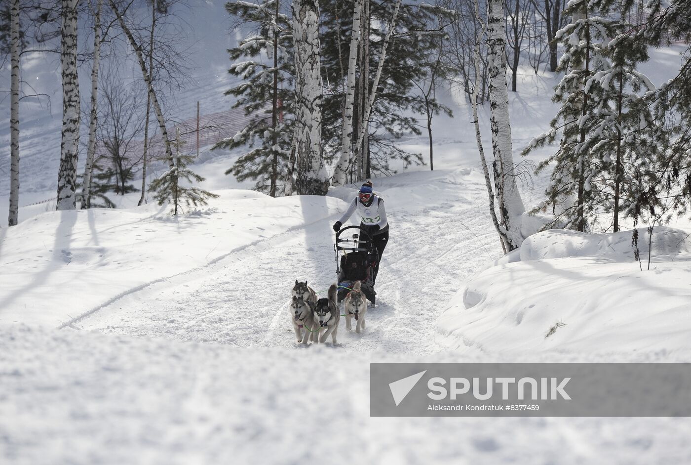 Russia Sled Dog Racing Cup