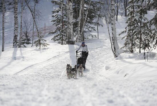 Russia Sled Dog Racing Cup