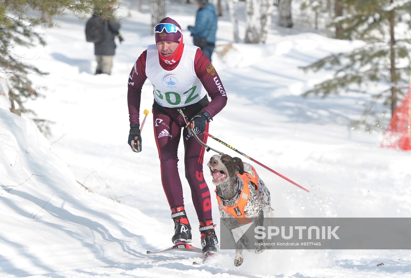 Russia Sled Dog Racing Cup