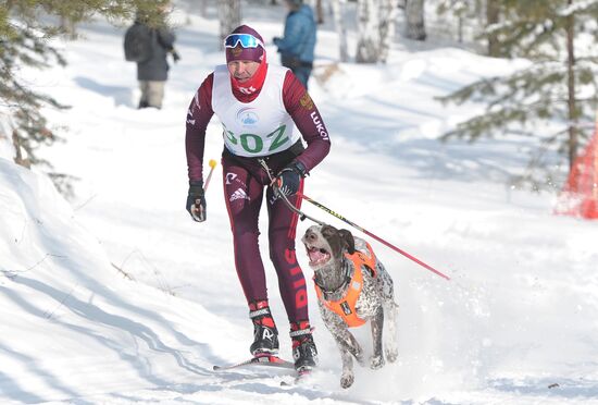 Russia Sled Dog Racing Cup