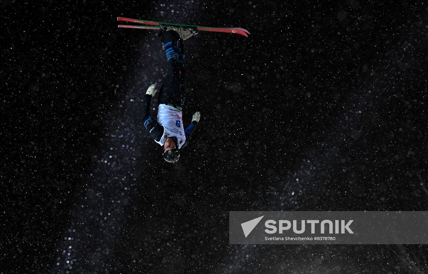 Russia Freestyle Skiing Champions Cup