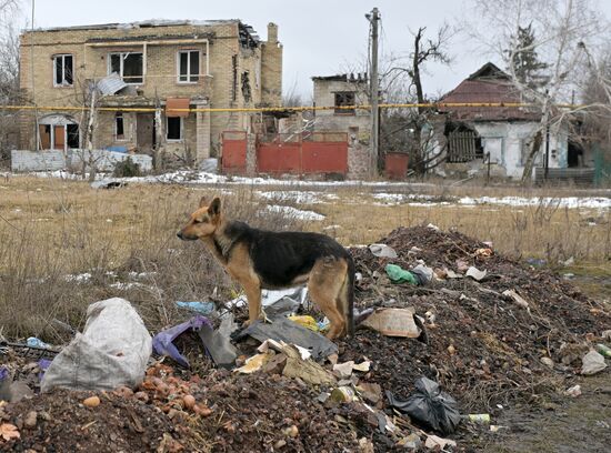 Russia Ukraine Military Operation Shelling