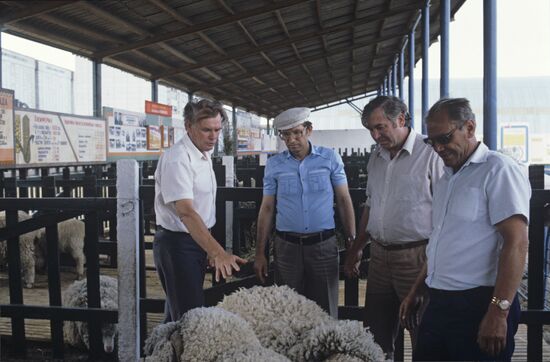 Lenin collective farm in Stavropol Territory