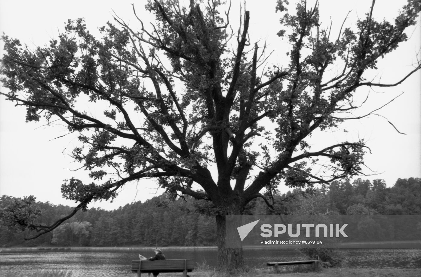 Autumn in Serebryany Bor