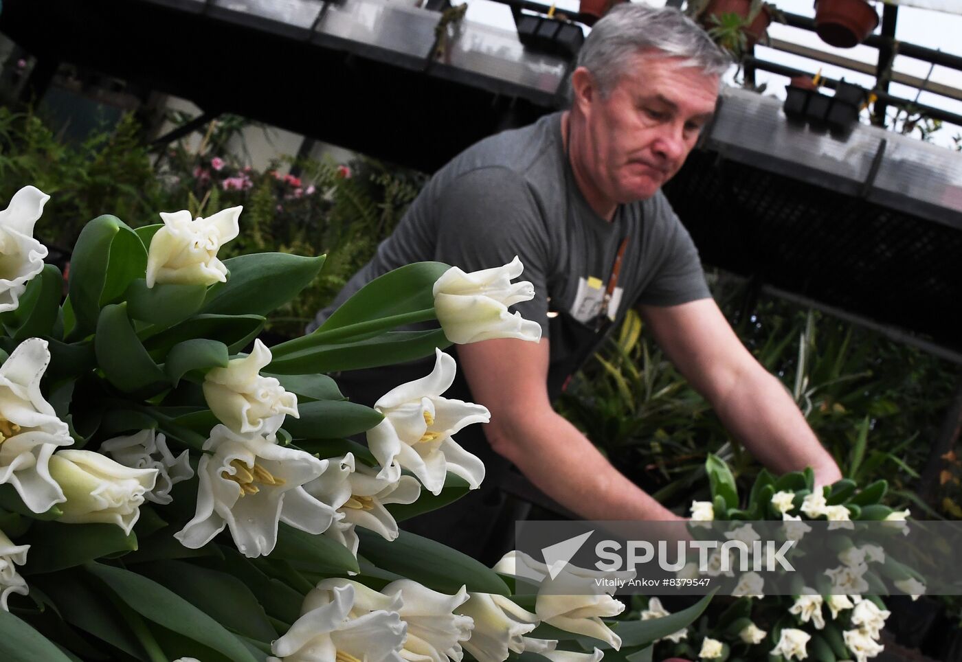 Russia Women's Day Preparations