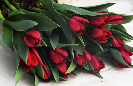 Russia Women's Day Preparations