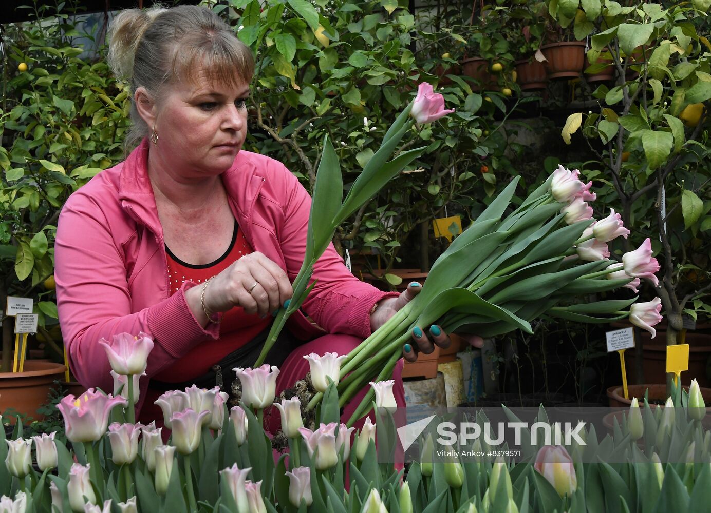 Russia Women's Day Preparations