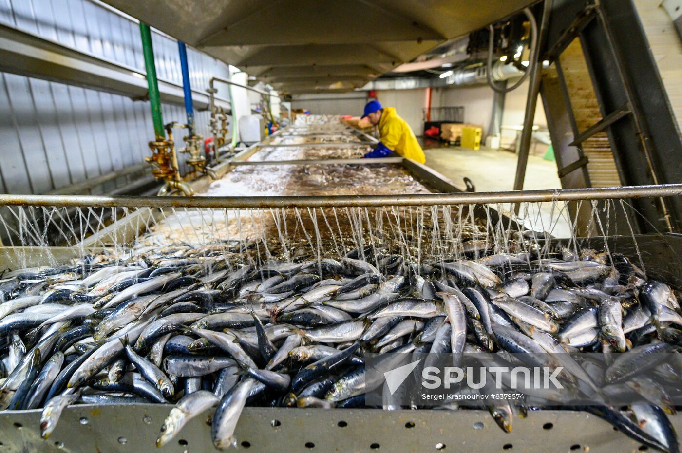 Russia Fishing Industry