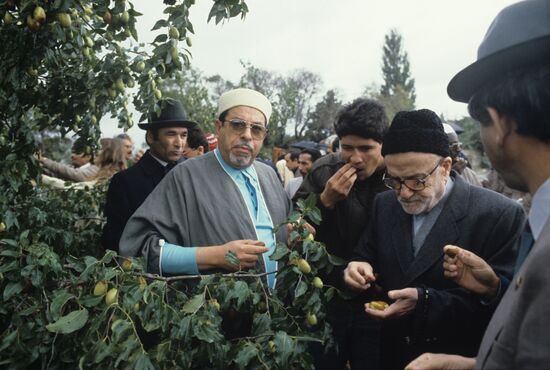 Muslims Struggling for Peace International Islamic Conference