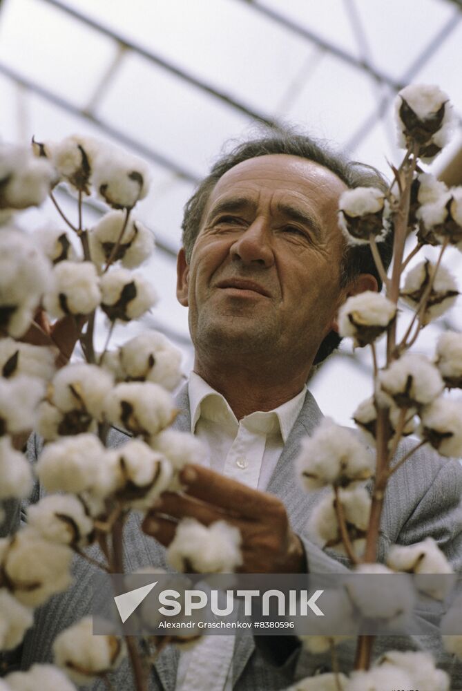 Bobo Sanginov, distinguished cotton breeder