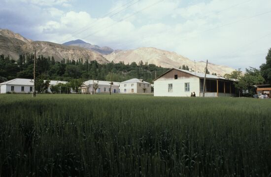 Experimental fields of Tajik Research Institute of Agriculture Vakhsh branch