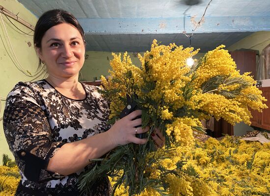 Abkhazia Women's Day Preparations