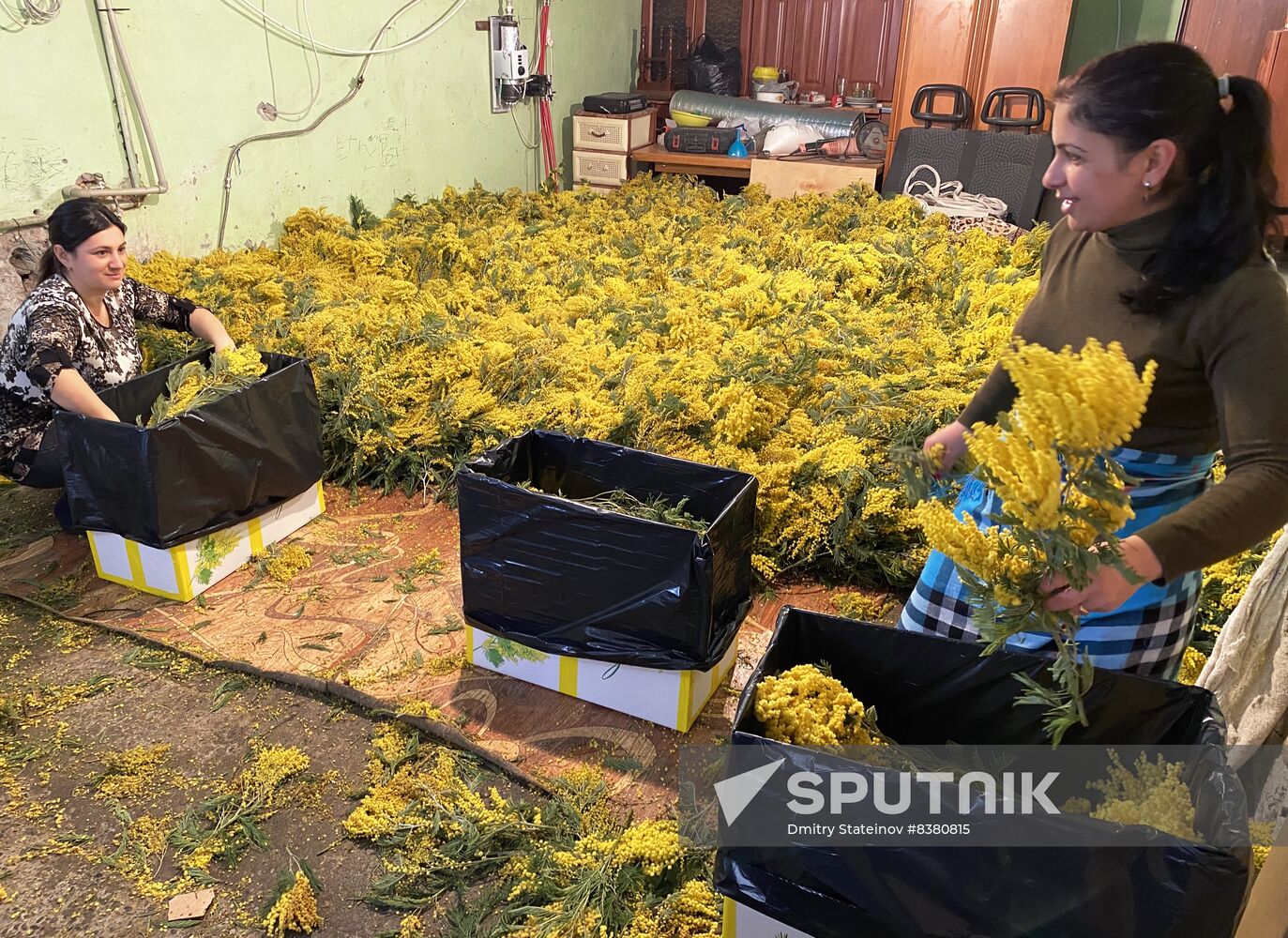 Abkhazia Women's Day Preparations