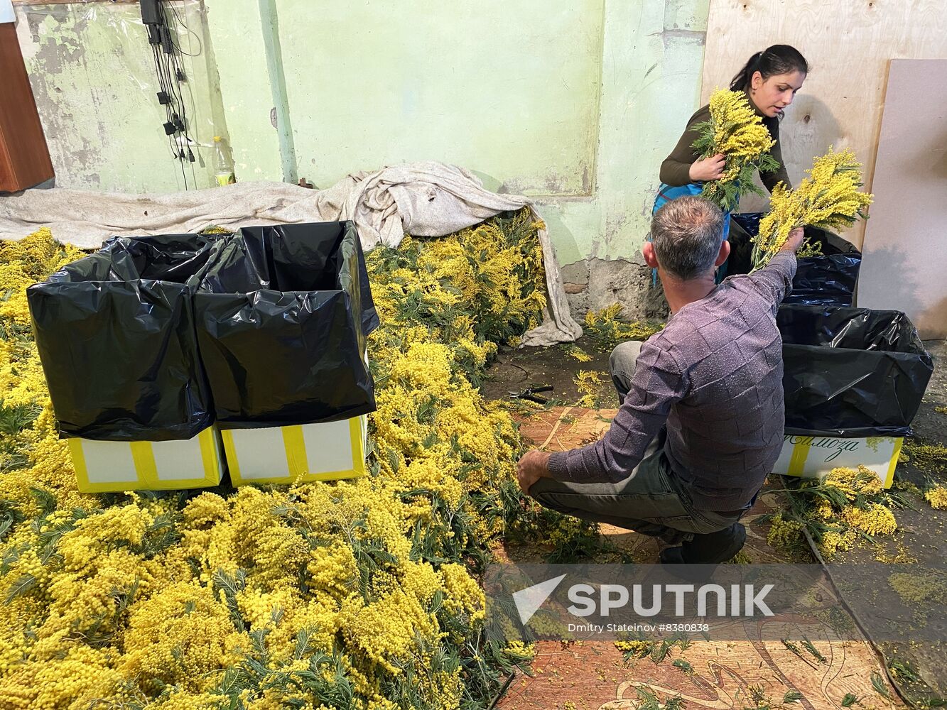 Abkhazia Women's Day Preparations