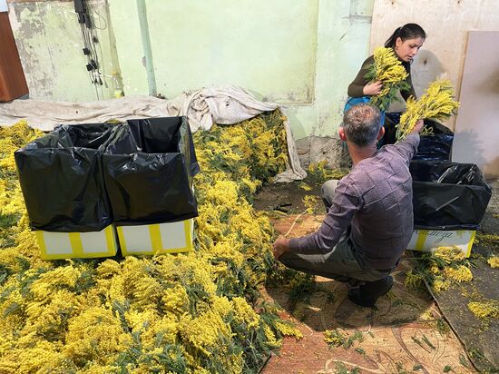 Abkhazia Women's Day Preparations