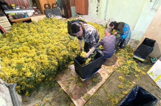 Abkhazia Women's Day Preparations