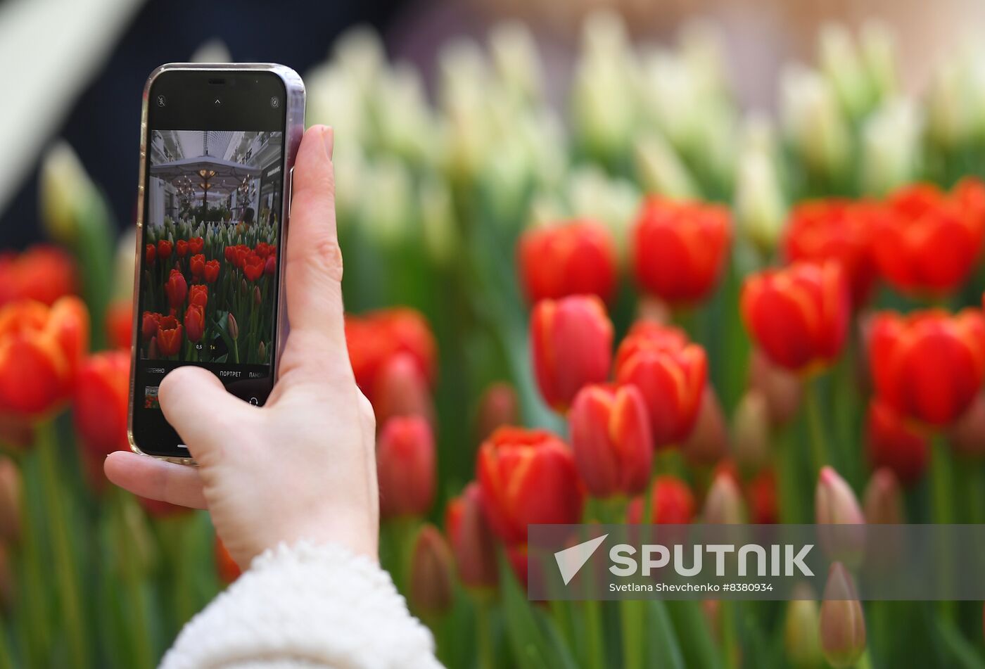Russia Flower Festival