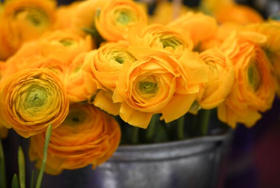 Russia Flower Festival