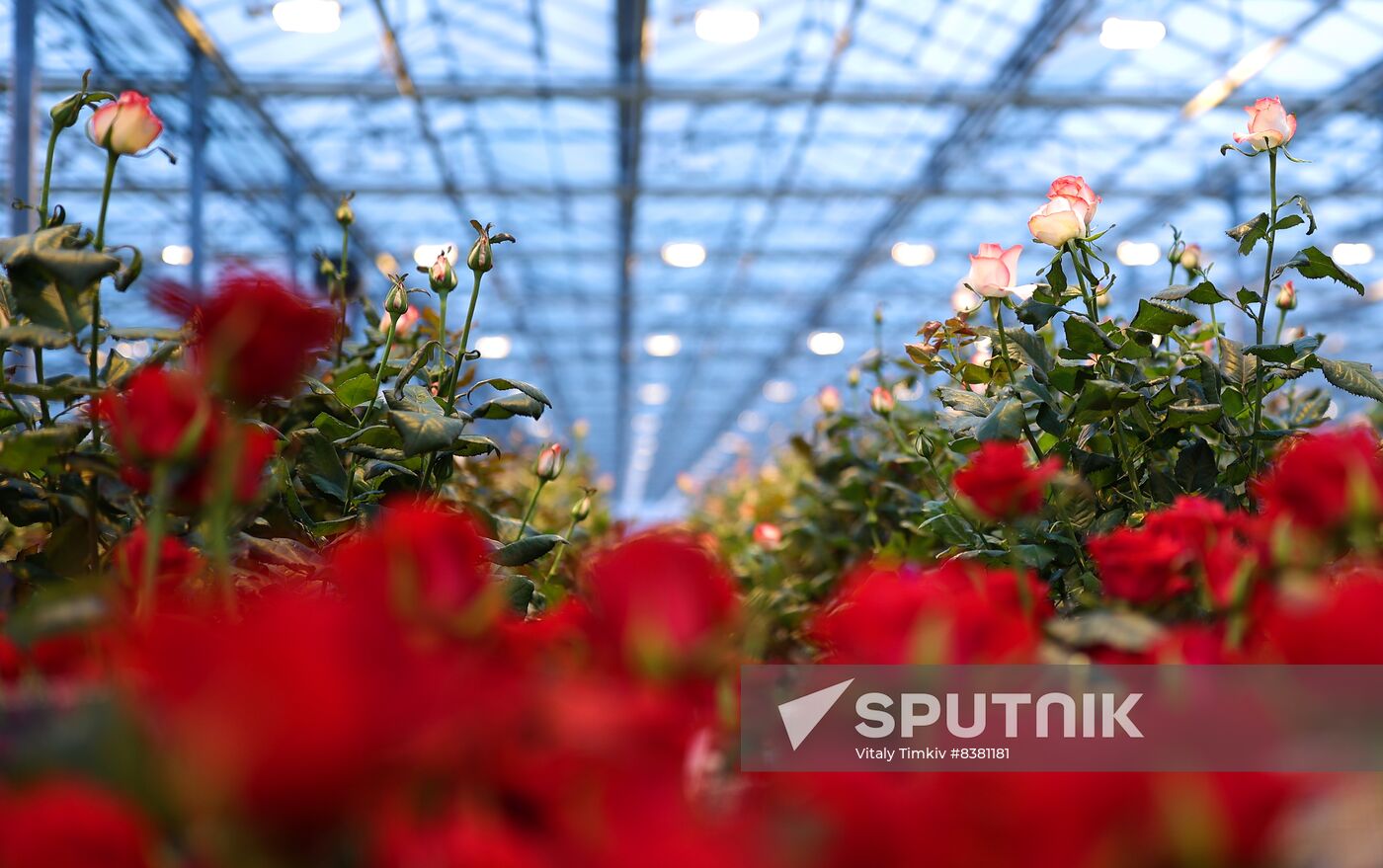 Russia Women’s Day Preparations