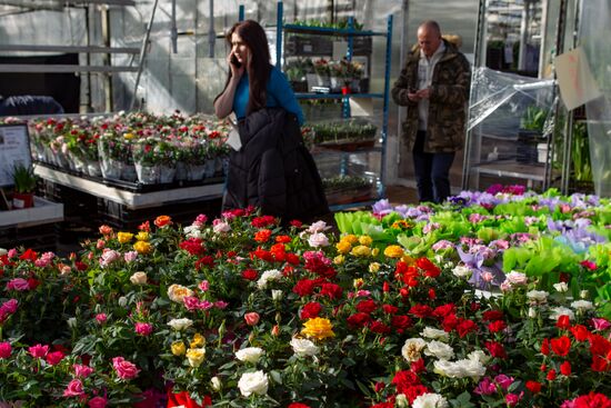 Russia Flowers
