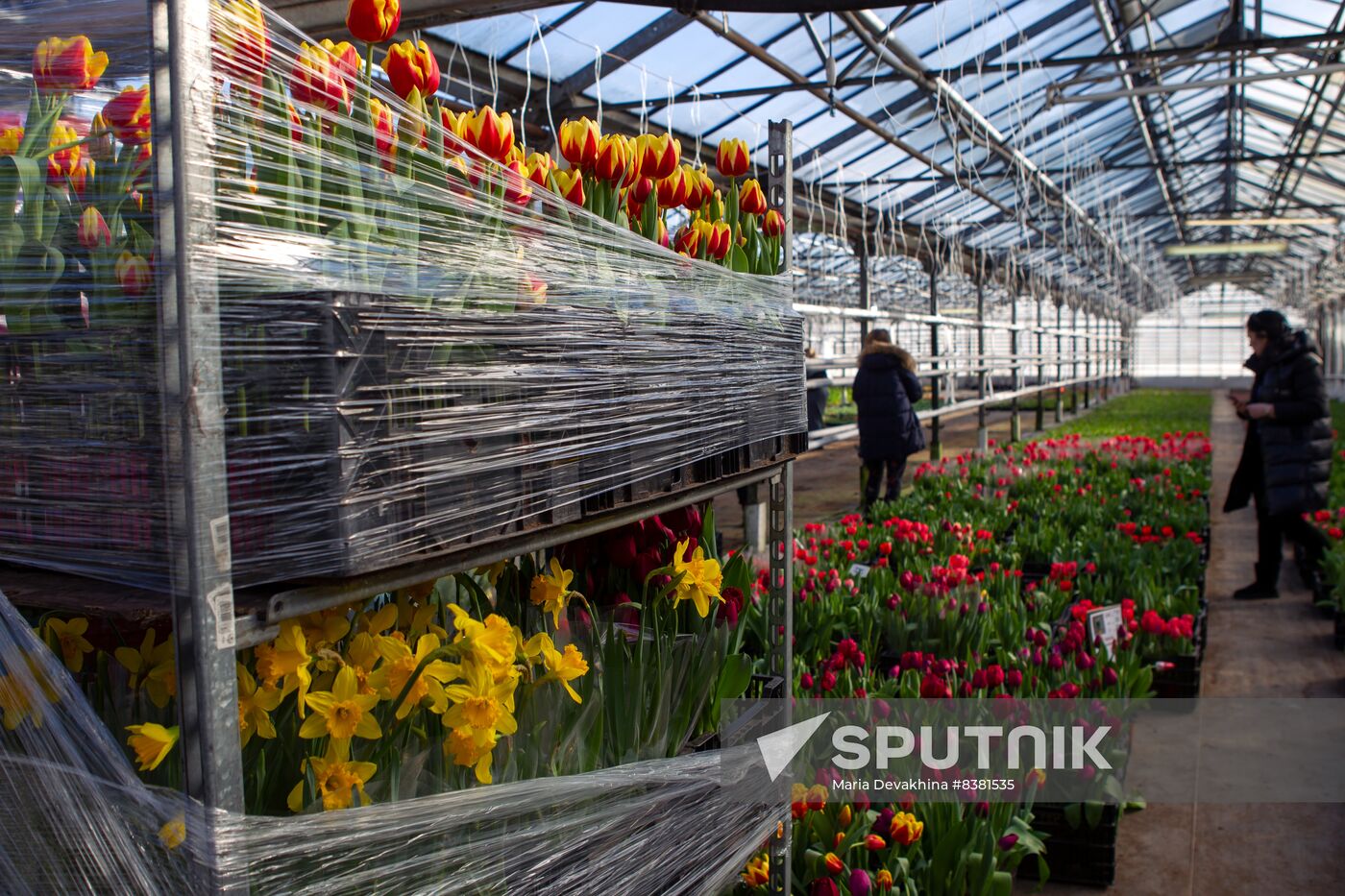 Russia Flowers